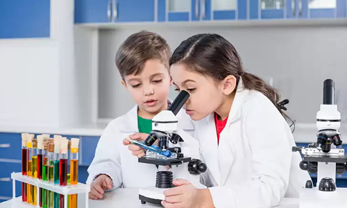 Лучшие микроскопы для школьников