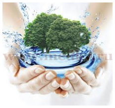 От качества потребляемой воды зависят многие процессы в нашем организме.