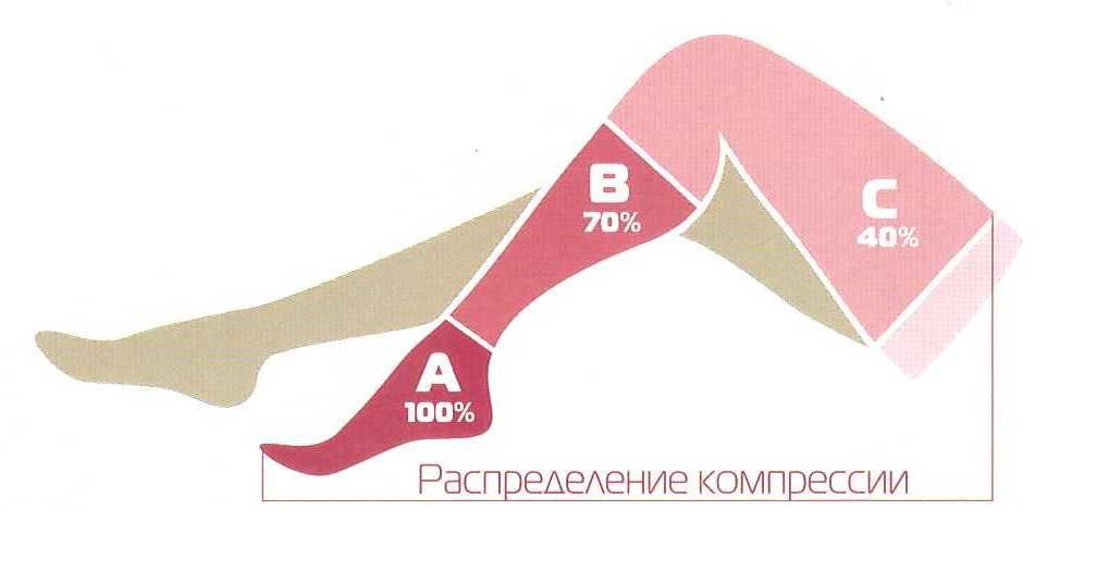 Компрессионный чулки Центр Компресс подбор размера