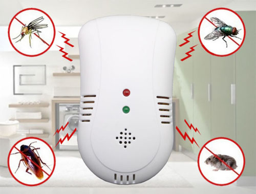 Эффективная защита от тараканов